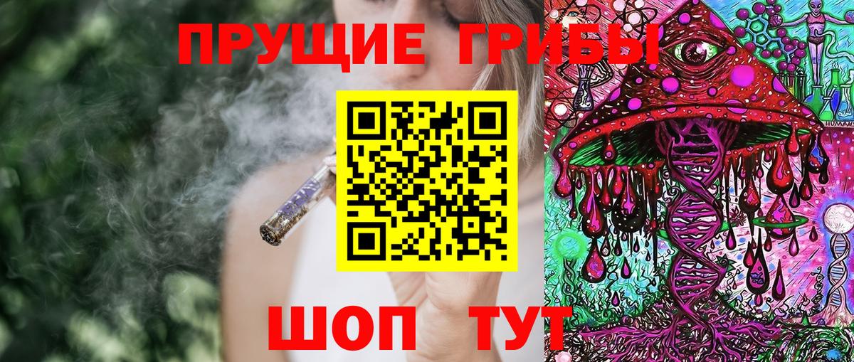 Черемхово  Псилоцибиновые грибы Psilocybine cubensis  где найти наркотики  Вход с VPN 
